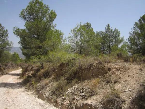 Terreno en via del Mediterráneo