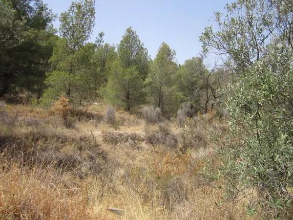 Terreno en via del Mediterráneo