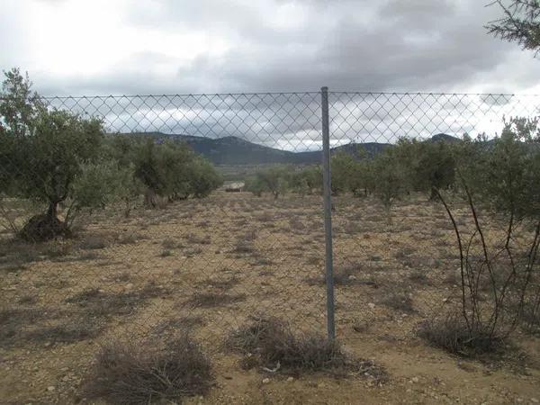 Terreno en calle la Solana