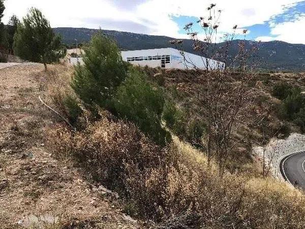 Terreno en calle Filà Andaluces