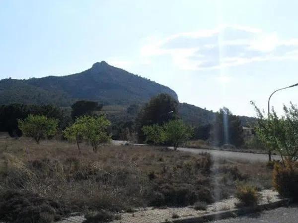 Terreno en Peña Rubia