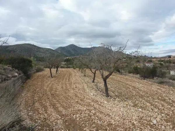 Terreno en Partida Cava