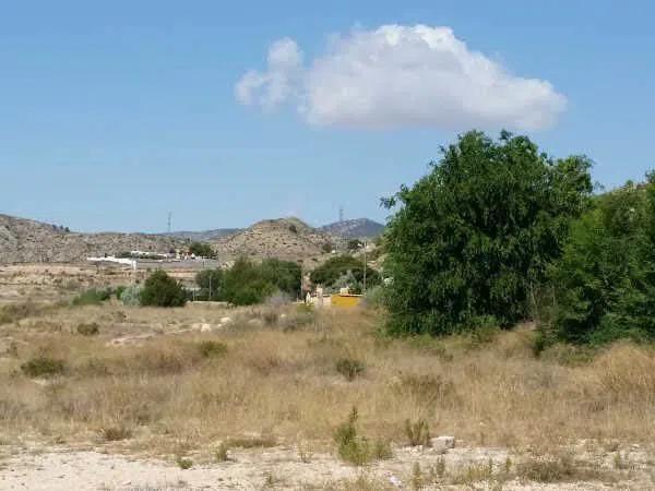 Terreno en carretera de Sax