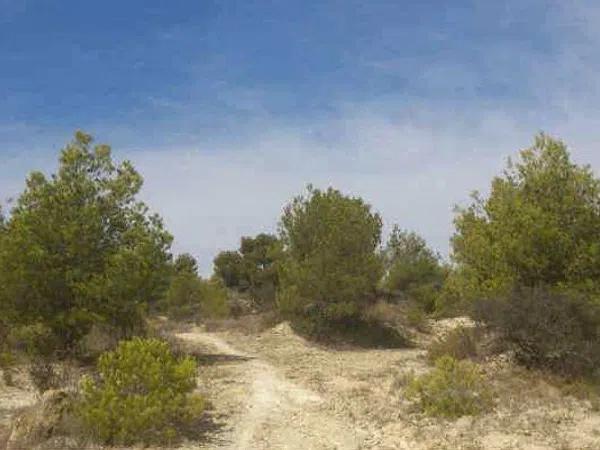 Terreno en Partida la Robella