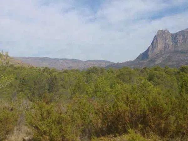 Terreno en Partida la Robella