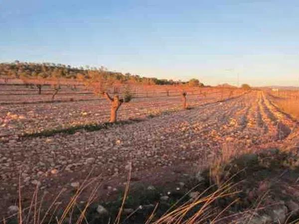 Terreno en via sense nom