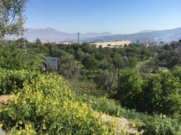 Terreno en calle Beniasent