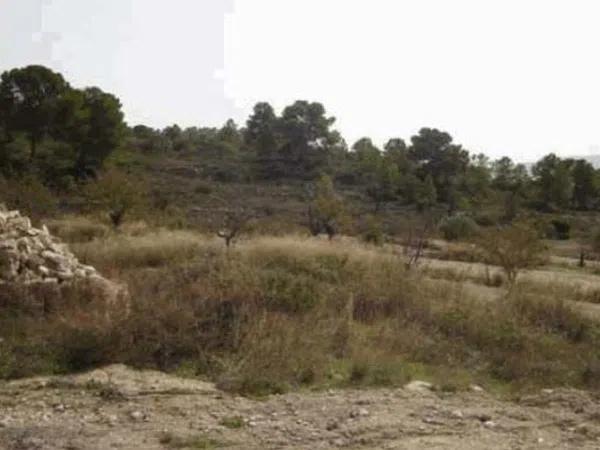 Terreno en camino de las Lometas