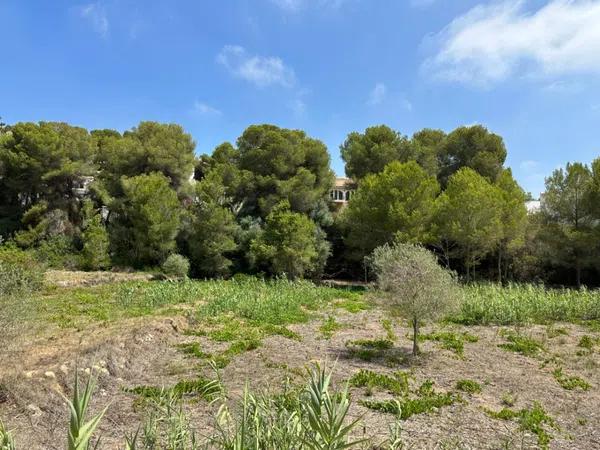 Terreno en Pinar de Advocat-Cometa