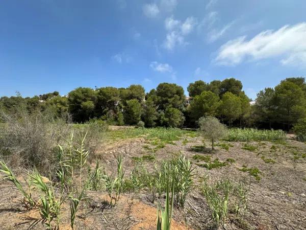 Terreno en Pinar de Advocat-Cometa