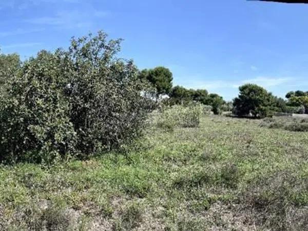 Terreno en calle de I'Esparraguera