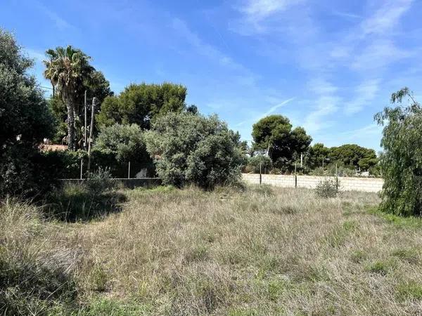 Terreno en calle de I'Esparraguera