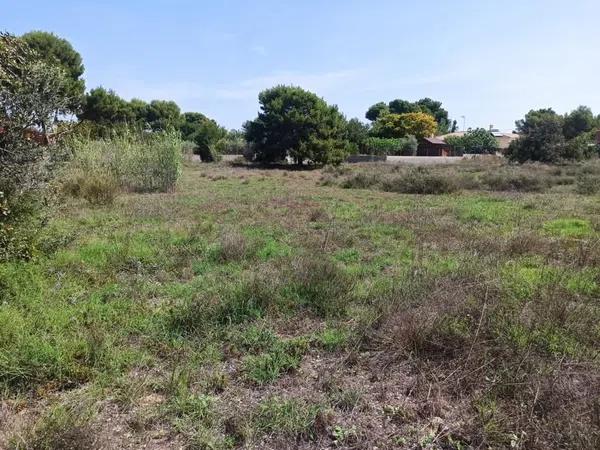 Terreno en calle de I'Esparraguera