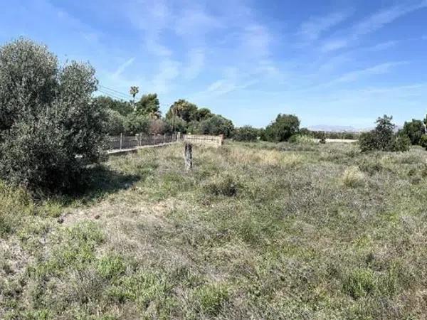 Terreno en calle de I'Esparraguera