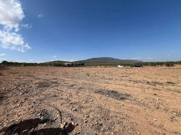 Terreno en Pinoso