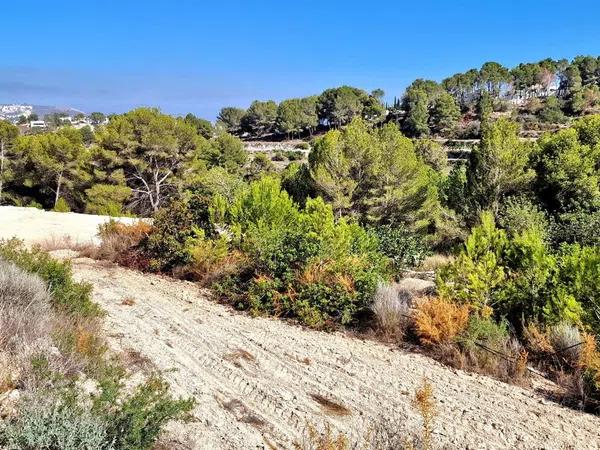 Terreno en Teulada