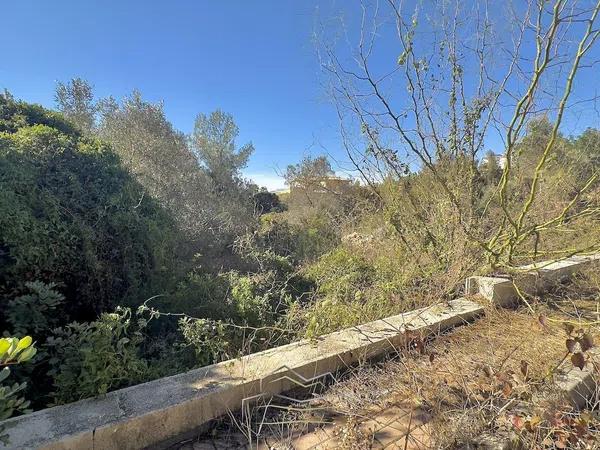 Terreno en Montgó - Ermita