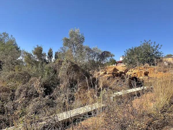 Terreno en Montgó - Ermita