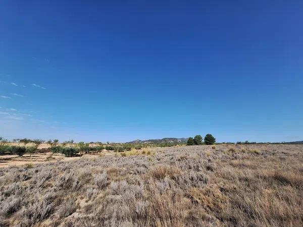 Terreno en Partida Casas de Ibañez, 19