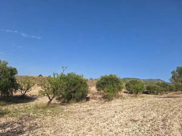 Terreno en Partida Casas de Ibañez, 19