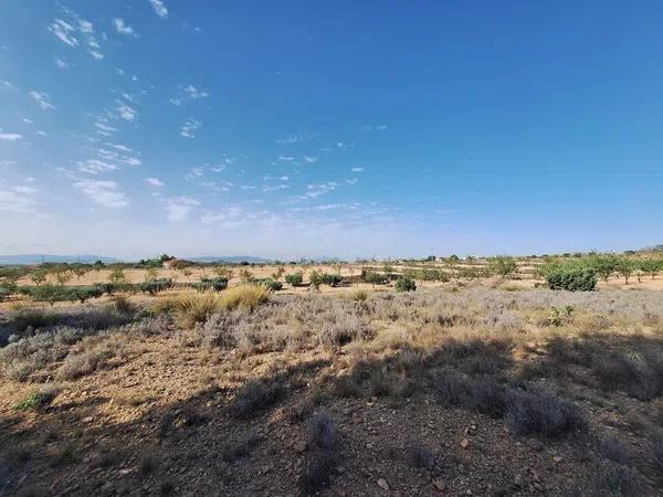 Terreno en Partida Casas de Ibañez, 19