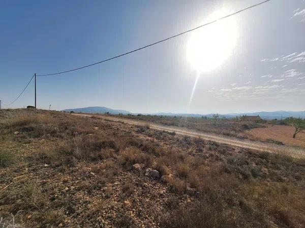 Terreno en Partida Casas de Ibañez, 19