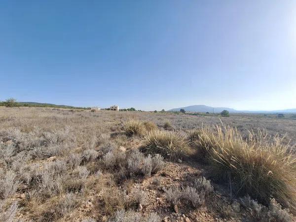 Terreno en Partida Casas de Ibañez, 19