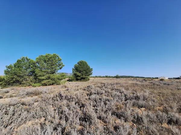 Terreno en Partida Casas de Ibañez, 19