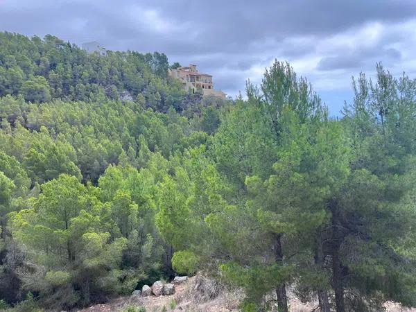 Terreno en Altea la Vella