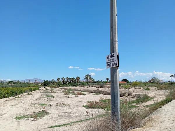 Terreno en Partida de Algoros, 4