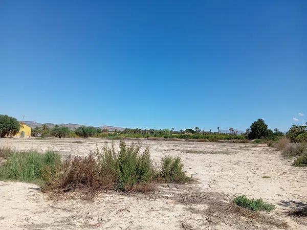 Terreno en Partida de Algoros, 4