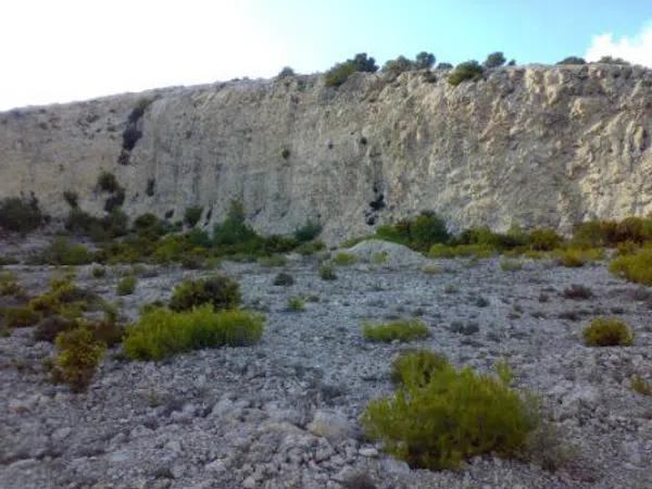 Terreno en carretera de Sax, km 4