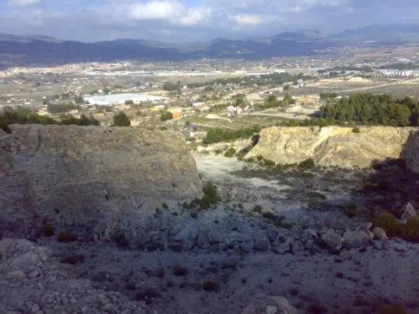 Terreno en carretera de Sax, km 4