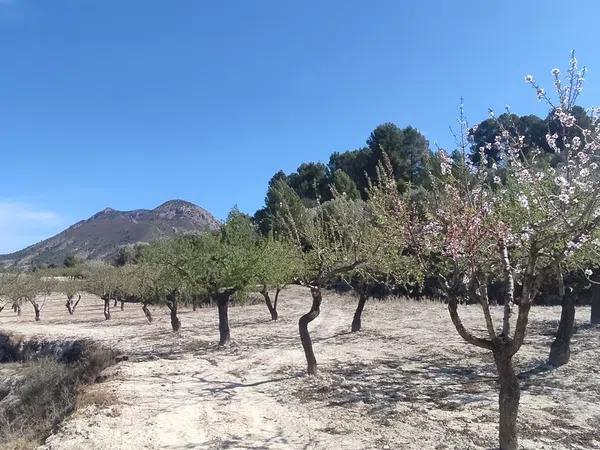 Terreno en Albagas, 4