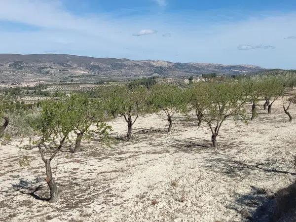 Terreno en Albagas, 4