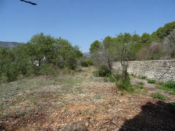 Terreno en Alcalalí