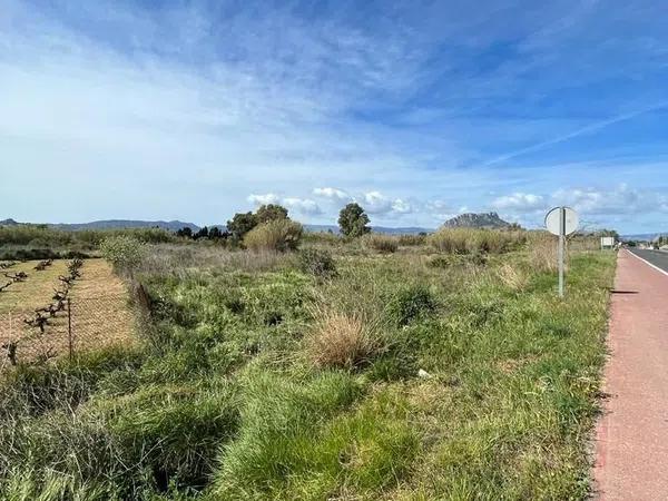 Terreno en camino de Gandia a Dénia, 71 -29