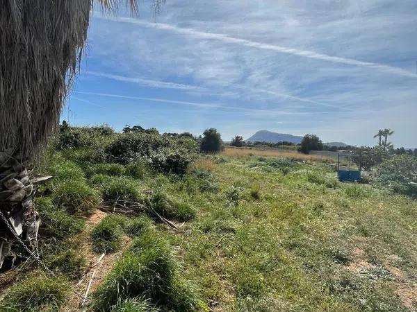 Terreno en camino de Gandia a Dénia, 71 -29