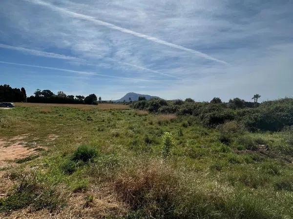 Terreno en camino de Gandia a Dénia, 71 -29