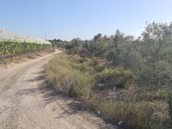 Terreno en Monforte del Cid