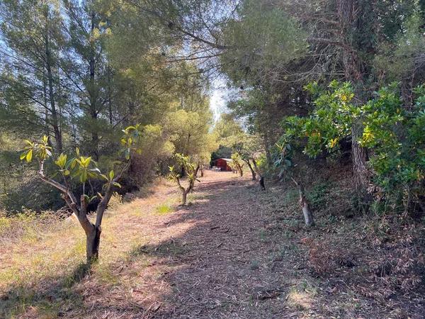 Terreno en Guadalest