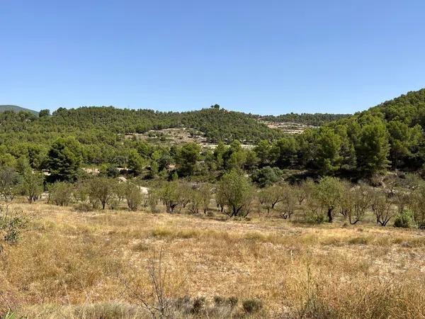 Terreno en Torremanzanas