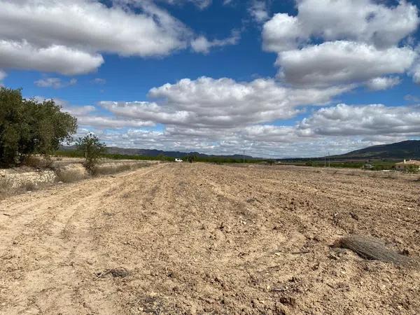 Terreno en Pinoso