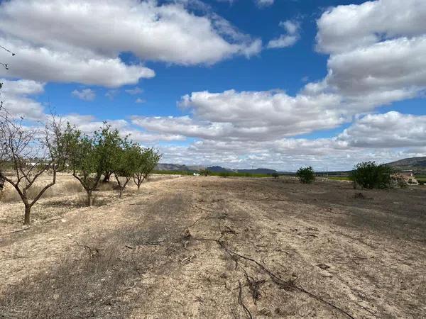 Terreno en Pinoso