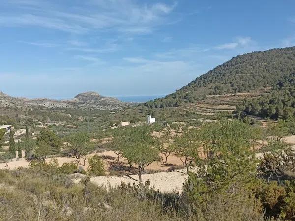 Terreno en Poligono 12, parcela 70, Partida Castillo s/n