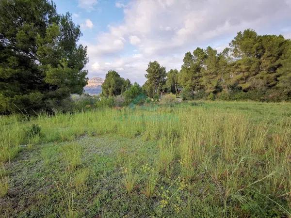 Terreno en Partida Comunes-Adsubia