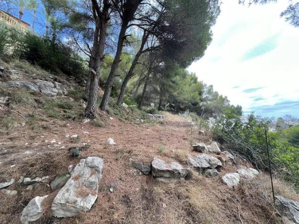 Terreno en calle Beniarrés