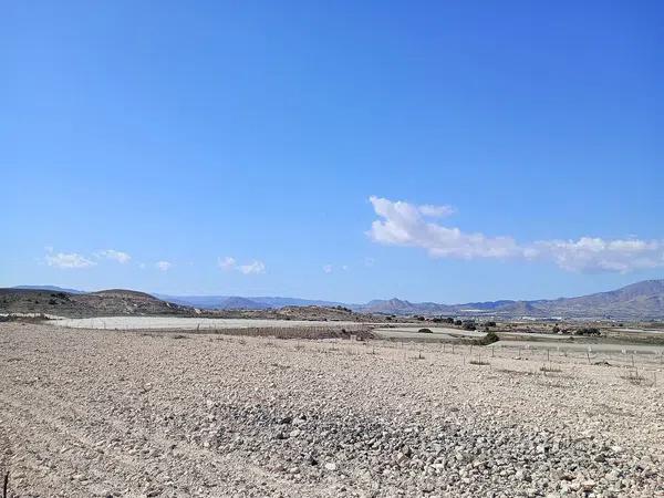 Terreno en Monforte del Cid