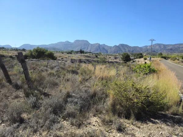 Terreno en Partida Sarganella, 93