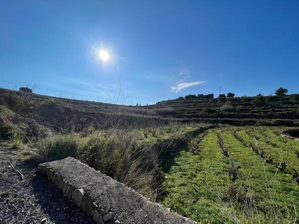 Terreno en Partida llenes, poligono 94